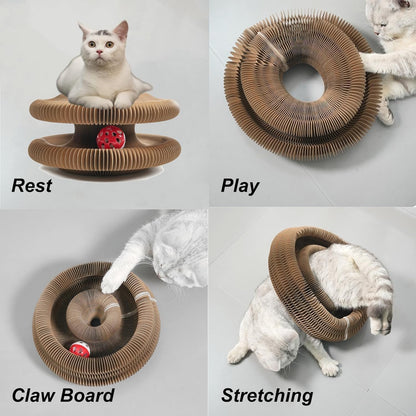 Kitty Kurl Cat Toy