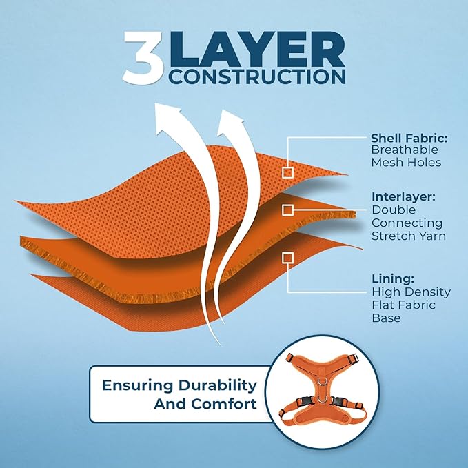 Voyager Step-in Lock Adjustable Cat Harness w. Cat Leash Combo Set with Neoprene Handle 5ft - Supports Small, Medium and Large Breed Cats by Best Pet Supplies - Orange, XS