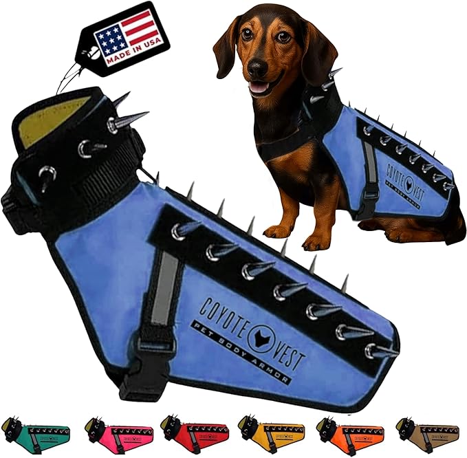 CoyoteVest Dog Harness Protection Vest, Reflective Dog Accessories with Spikes to Shield Your Pet from Raptor and Animal Attacks, Proudly Made in America (XX-Small, Royal Blue)