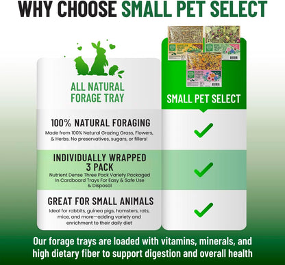 Small Pet Select Forage Tray Bundle, 3 Pack of Foraging Trays for Rabbit, Guinea Pig, Hamster or Bunny - Natural Treats, Dandelion, Flower, Herb Mix 2.5oz Each