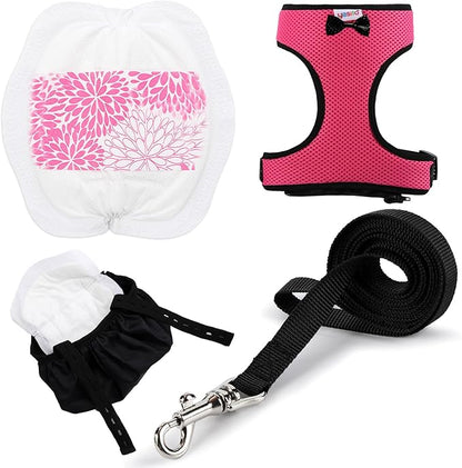 Adjustable Chicken Harness Diaper (5.4ft Leash) – Breathable & Washable Secure Training for Hens, Ducks & Chicks | Outdoor Walking & Discipline Solution Pink