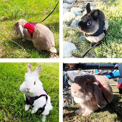 PETTOM Bunny Rabbit Harness with Stretchy Leash Cute Adjustable Buckle Breathable Mesh Vest for Kitten Small Pets Walking (Black,L)
