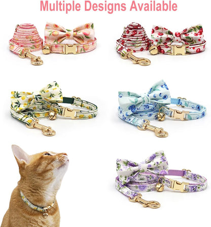 Personalized Cat Collar with Engraved Name Phone Number for Boy and Girl Kittens (Fruit)