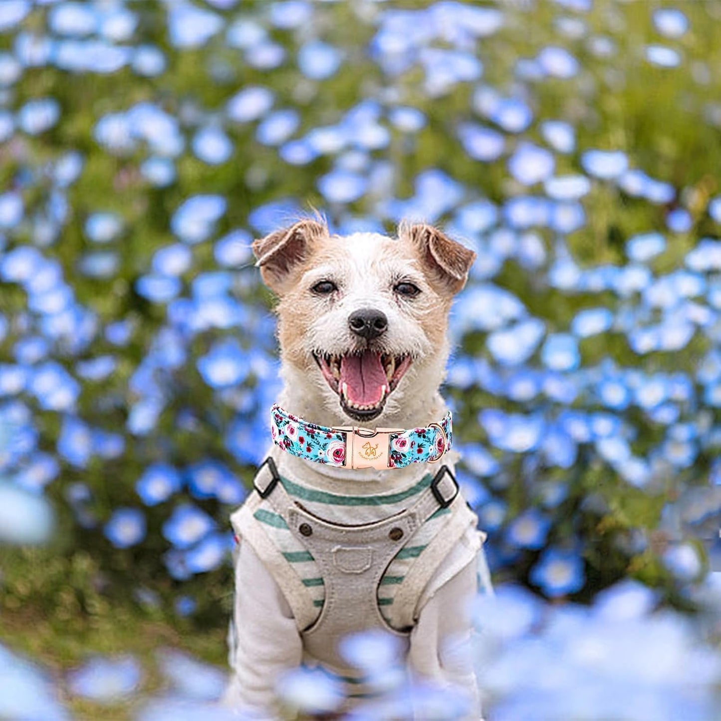 Elegant little tail Dog Collar, Pink Floral Print Pet Collar Summer Dog Collar Pet Collar Dog Cotton Durable Dog Collar Metal Buckle Collar for Small Dogs, Blue Flower