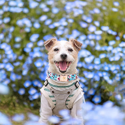 Elegant little tail Dog Collar, Pink Floral Print Pet Collar Summer Dog Collar Pet Collar Dog Cotton Durable Dog Collar Metal Buckle Collar for Medium Dogs, Blue Flower