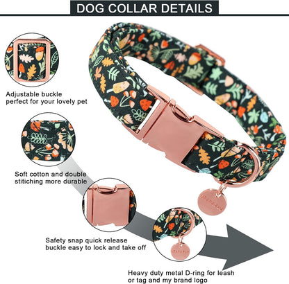 Daisy Fall Cotton Dog Collar with Metal Buckle Gift Autumn Collar for Small Medium Large Girls or Boys Dogs Cute Durable Comfortable Pet Collars