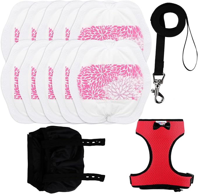 Adjustable Chicken Harness Diaper (5.4ft Leash) – Breathable & Washable Secure Training for Hens, Ducks & Chicks | Outdoor Walking & Discipline Solution