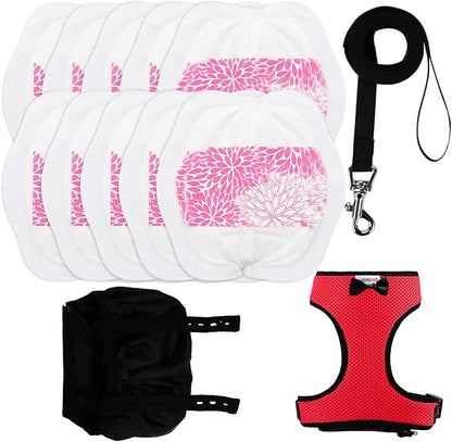 Adjustable Chicken Harness Diaper (5.4ft Leash) – Breathable & Washable Secure Training for Hens, Ducks & Chicks | Outdoor Walking & Discipline Solution