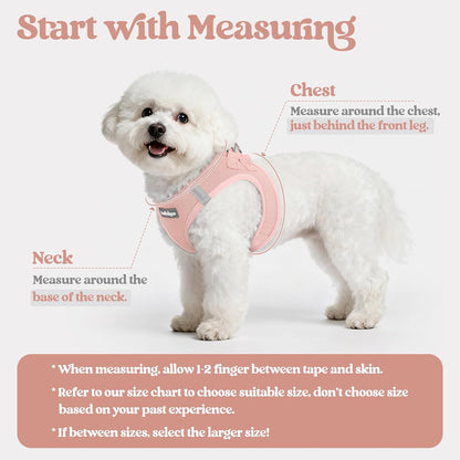 rabbitgoo Dog Harness Small Sized and Leash Set, Step in Soft Light Puppy Vest, Breathable Mesh Pet Harness, Reflective for Safe Outdoor Walking, Pink XXS