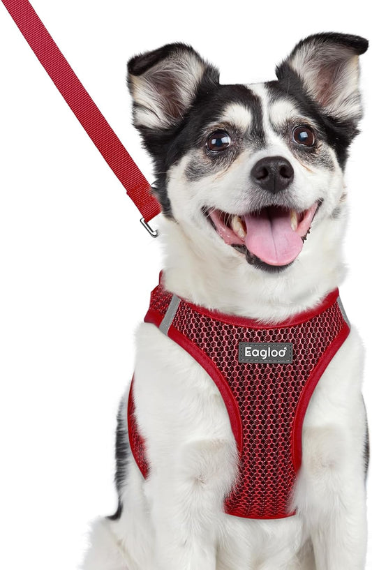 Eagloo Small Dog Harness and Leash Set, Step in Puppy Vest with Breathable Soft Mesh, Walking Reflective Pet Harness for Medium Small Dogs, Red, L