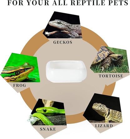 Reptile Food Bowls Ceramic Square Reptile Water Food Dish, Pet Food Bowl for Lizards, Young Bearded Dragons, Small Snakes, Gecko Tortoise Spider (White, Medium-1Pack)