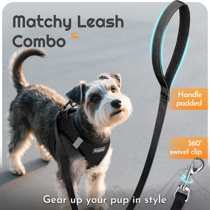 Eagloo Small Dog Harness and Leash Set, Step in Puppy Vest with Breathable Soft Mesh, Walking Reflective Pet Harness for Small Dogs, Black, S