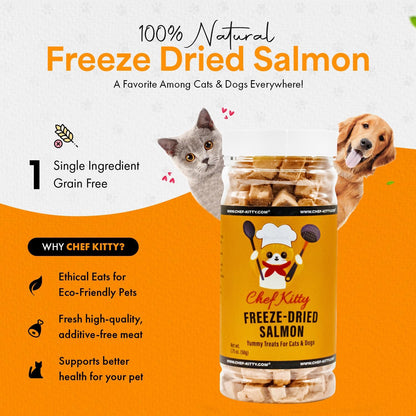 Freeze-Dried Salmon Treats for Cats & Dogs – 100% Wild Caught, Single Ingredient, High-Protein, Healthy Snack – No Additives or Preservatives – 1.4oz - Inspected & Tested in USA