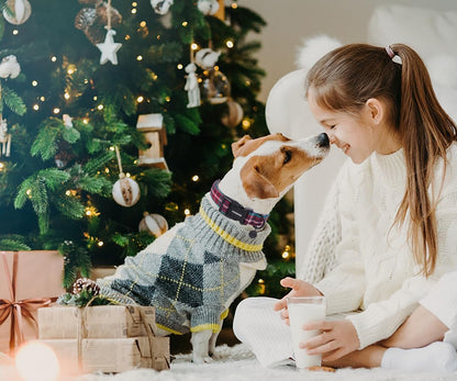 DOGWONG Christmas Cotton Dog Collar, Blue Tartan Christmas Dog Collar Durable Soft Fabric Pet Dog Collars Cute Blue Plaid Puppy Necklace for Small Medium Large Dogs