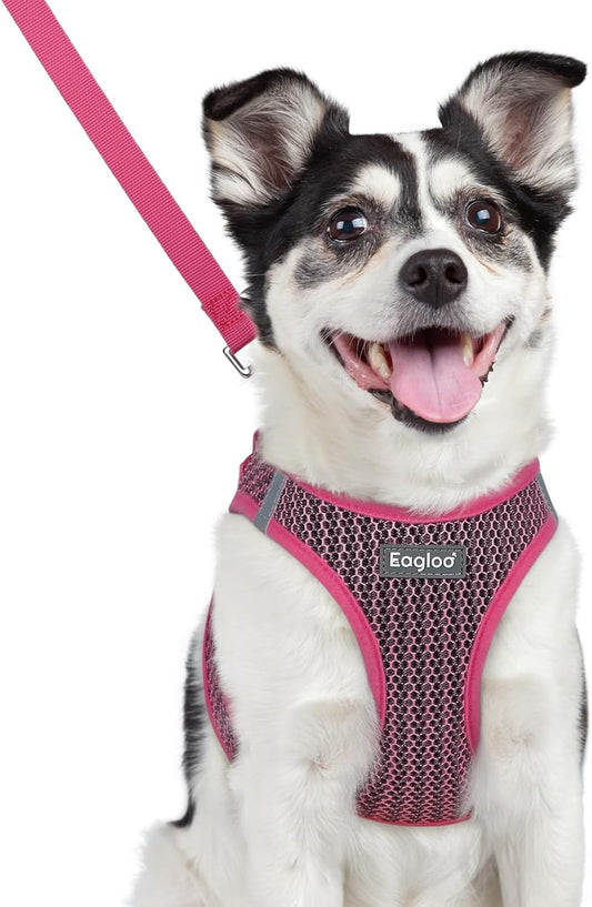 Eagloo Small Dog Harness and Leash Set, Step in Puppy Vest with Breathable Soft Mesh, Walking Reflective Pet Harness for Medium Small Dogs, Rose Red, L