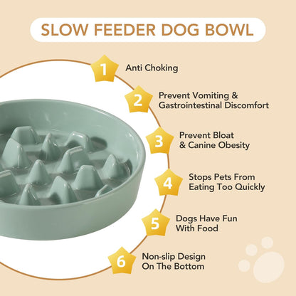 Ceramic 3.2 Cup Dog Bowl Slow Feeder, 9.5 inch Slow Pet Food Dish for Large Dog, Stop Bloat, Preventing Choking(Single Bowl,Light Green)