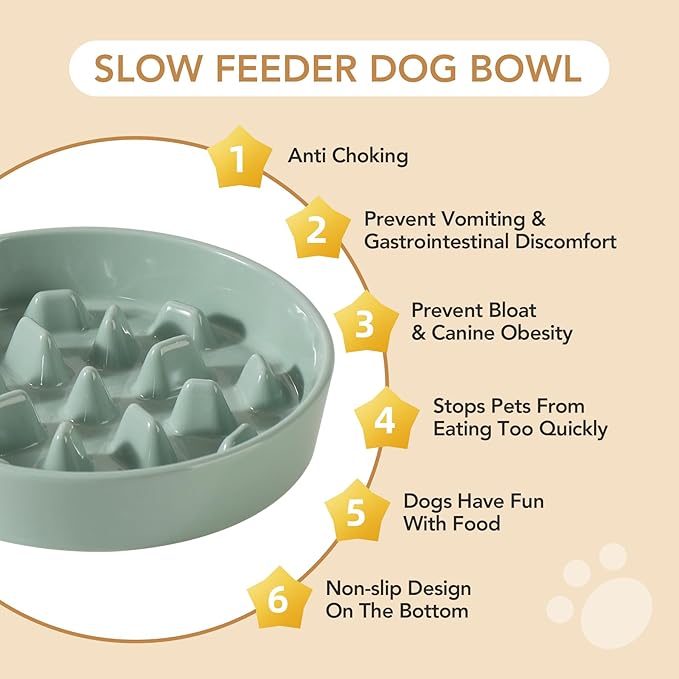 9.5inch Ceramic Dog Raised Slow Feeder Set, Elevated Bowl with Wooden Stand for Large Dog, Slow Feeder Dish for Fast Easters, Stop Bloat(Light Green, Single Bowl+ Stand)