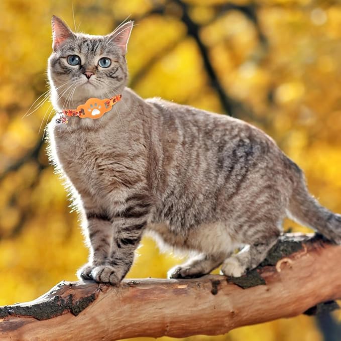 AirTag Cat Collar with Bells, Fall Cat Collar Breakaway with Airtag Holder, Safety Cat GPS Tracker Collars for Girl Boy Cats, Kittens and Puppies, Adjustable 8"-12"