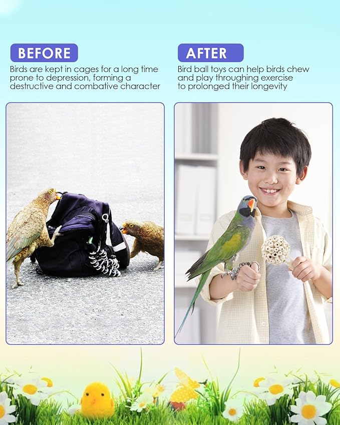 Bissap 7PCS Small Parrot Toys, Natural Sola Balls Bark Sola Sticks Parrot Chew Forage Toy Bird Foot Balls for Cockatiels Conures Cockatoos Parakeets Love Birds Budgie Finch Parrot Cage Bite Toys