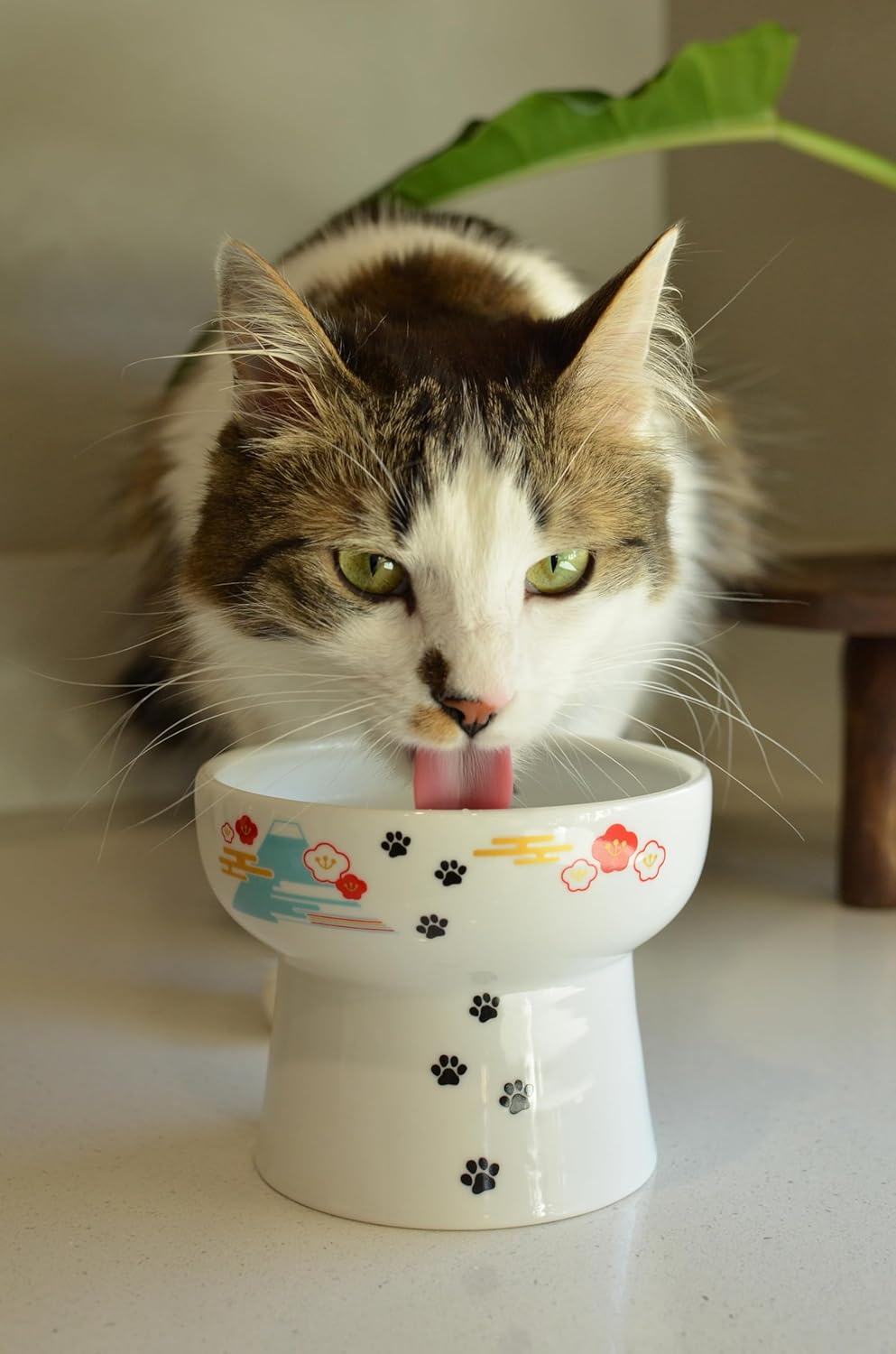 Necoichi Elevated Cat Water Bowl – Ceramic Raised Cat Bowl, Prevents Neck & Whisker Fatigue – Dishwasher & Microwave Safe – Pet Water Bowl for Cats (Fuji, Extra Tall)