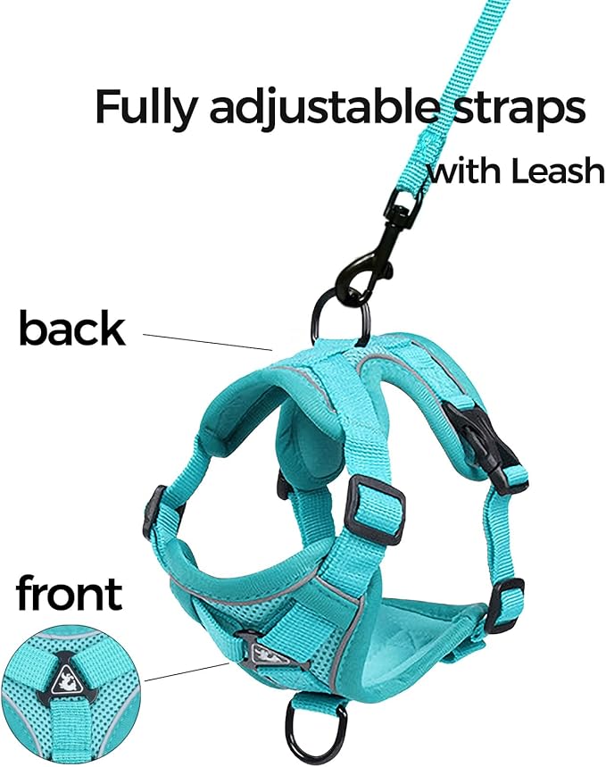 Cat Harness and Leash Set Escape Proof Tactical Large Kitten Harness Emotional Support Cat Vest, Turquoise, L