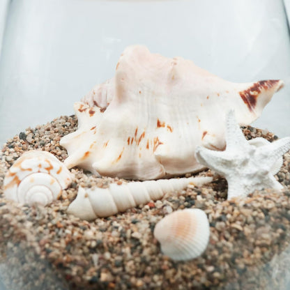 Silica Gravel, Multi-Purpose Mixed Silica Sand for Fire Pits, Aquariums and Landscaping, 11LB Medium