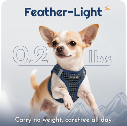 Eagloo Small Dog Harness and Leash Set, Step in Puppy Vest with Breathable Soft Mesh, Walking Reflective Pet Harness for Medium Small Dogs, Navy Blue, L