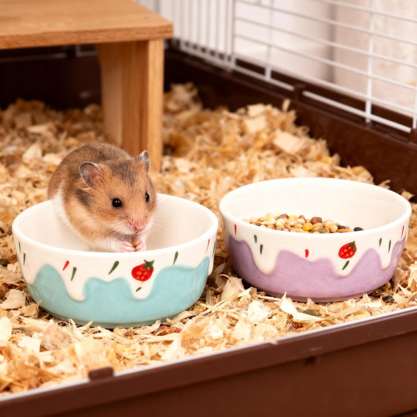 Wontee Hamster Food Bowl 2 Pack Ceramic Food Water Bowl Anti-Tipping for Dwarf Hamsters Gerbil Mice Hedgehog Guinea Pig (Blue+Purple)