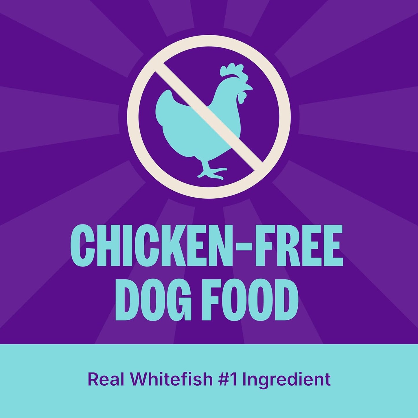 Wellness CORE Dry Dog Food, Grain-Free, High Protein, Natural, Ocean Whitefish, Herring, & Salmon Recipe, (12-Pound Bag)