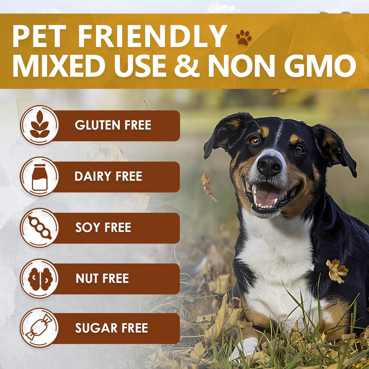 Zammex Grass-Fed Beef Bone Broth Protein Powder for Dogs & Cats - Joint & Bone Support, Healthy Fur Enhancer, Pet Food Topper for Dry & Wet, 10.58oz