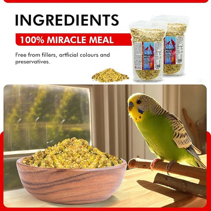 Morning Bird Miracle Meal 3 lbs (2-Pack, 1.5 lbs Each) – Soft Food for Birds with Vitamins & Supplements – Packed with Protein, Minerals & Amino Energy – Promotes Strong Feathers & Overall Wellness