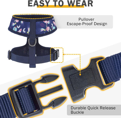 SCENEREAL Small Dog Harness Collar and Leash Set, Adjustable No Pull Pet Harnesses, No Chock Soft Mesh Step in Vest for Doggie Puppy Medium Dogs Cats Girl or Boy,Chihuahua, Yorkie, Outdoor Walking