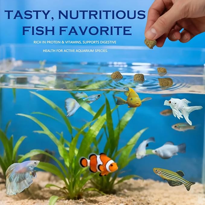 Freeze Dried Brine Shrimp Cubes– 100% Natural High‑Protein Fish Food for Tropical, Marine & Freshwater Aquarium, Turtles, Pond Fish, Koi, Discus, Angelfish, Tetras - Floating Shrimp Cubes, 4.5 oz