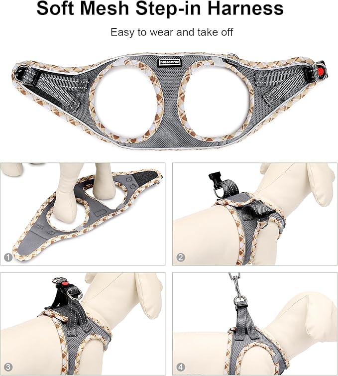 Mercano Soft Mesh Dog Harness and Leash Set, No-Chock Step-in Reflective Breathable Lightweight Easy Walk Vest Harnesses with Safety Buckle for Small Dogs, Cats (Grey, XXS)