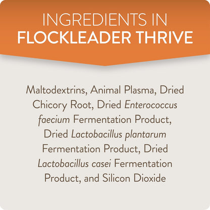 Thrive, Daily Probiotic & Prebiotic Water Supplement for Chickens 8+ Weeks Old, 8 oz (Pack of 2)