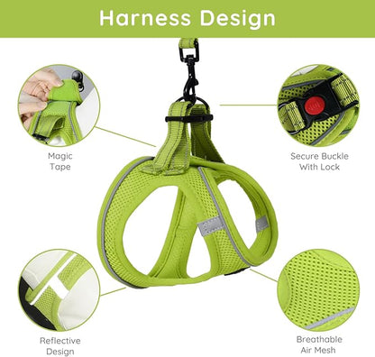 BELLA & PAL Step in Vest Harness for Small and Medium Dogs, No Pull Small Dog Harness with Leash Set, Comfortable Air Mesh Dog Vest Harness with Reflective Strip (Avocado Green, XXS)