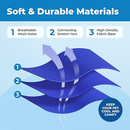 Voyager Escape Proof Cat Harness and Leash Set with Reflective Stitching, Neoprene Handle 5ft - Supports Small, Medium and Large Cats, Kittens for Walking by Best Pet Supplies - Royal Blue, S