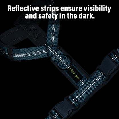 Plutus Pet No Pull Dog Harness, Adjustable Nylon Harness with Soft Padding, Reflective and Heavy Duty Dog Harness for Small, Medium, Large Dogs(Cyan, XL)