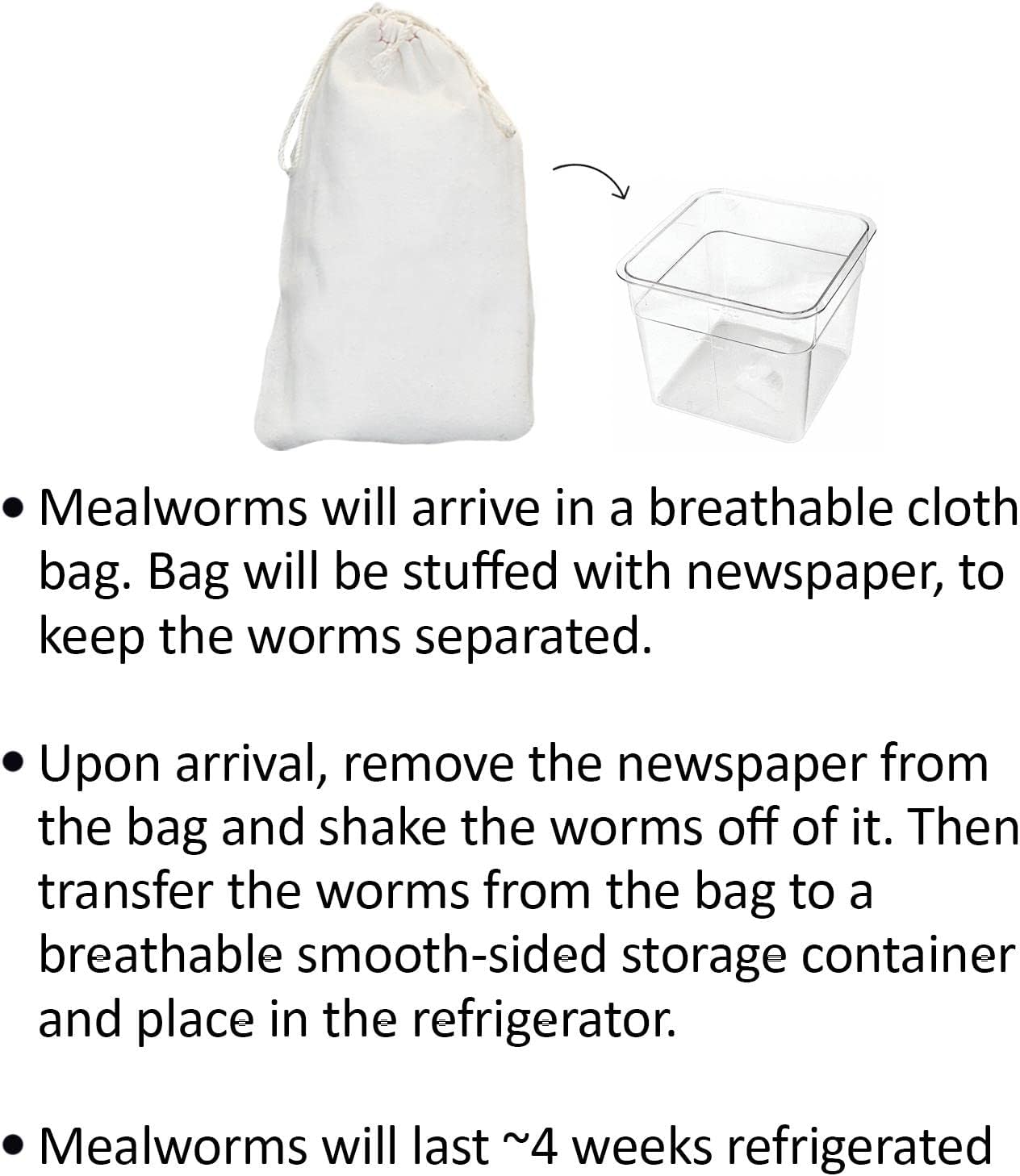 Mealworm Breeder Kit (Basic) - Breed Live Feeder Worms for Hedgehogs, Sugar Gliders, Reptiles, Wild Birds, Chickens, Lizards, Bearded Dragon, Skunks, Opossum, Fish, Turtles, Tortoises, Geckos