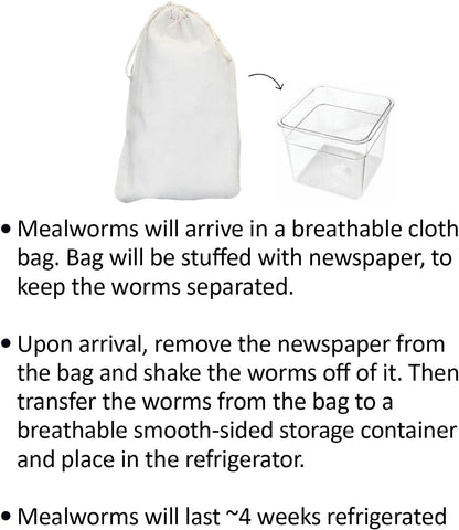 Mealworm Breeder Kit (Basic) - Breed Live Feeder Worms for Hedgehogs, Sugar Gliders, Reptiles, Wild Birds, Chickens, Lizards, Bearded Dragon, Skunks, Opossum, Fish, Turtles, Tortoises, Geckos