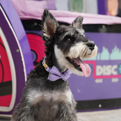 Beirui Cute Small Dog Harness Collar and Leash Set with Bowtie, Soft Adjustable Plaid Puppy Harness for Small Sized Dogs Cats Walks Parties and Photoshoots(Purple,S:Chest 17-23")