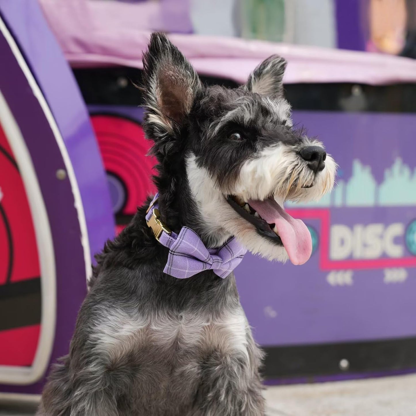 Beirui Cute Extra Small Dog Harness Collar and Leash Set with Bowtie, Soft Adjustable Plaid Puppy Harness for Small Sized Dogs Cats Walks Parties and Photoshoots(Purple,XS:Chest 13-18")