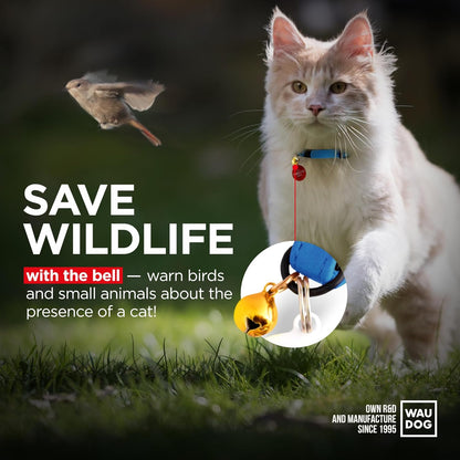 Leather Cat Collar with Bell & Elastic Strap - Pet Collar Leather - Kitten Collar - Small & Big Cat Collar for Boy & Girl Cats with Safety Elastic Strap (Blue, 8" - 12")