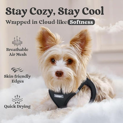 rabbitgoo Small Dog Harness, Step-in Soft Mesh Puppy Vest with Safety Buckle, Breathable Reflective Pet Harness for Small Medium Dogs, Black L