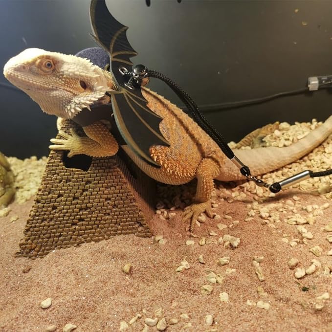 Bearded Dragon Harness Leash Set,Adjustable Lizard Leash Harness, 3 Pack Reptile Lizard Harness Leash with Traction Rope for, for Amphibians