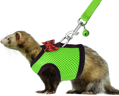 Rypet Small Animal Harness and Leash - Soft Mesh Pet Harness with Safe Bell, No Pull Comfort Padded Vest for Small Pets Green
