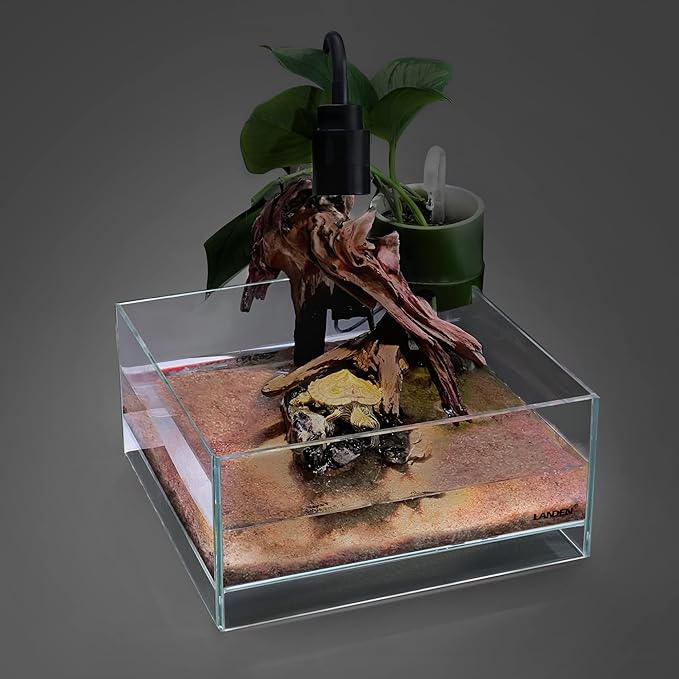 LANDEN Glass Air Aquarium Tank Multi-Scene Landscape Aquarium, 1.6Gallon Rimless Low Iron Shallow Tank,10.63" W×10.63" D×4.72" H (27cmx27cmx12cm) 5mm Thickness