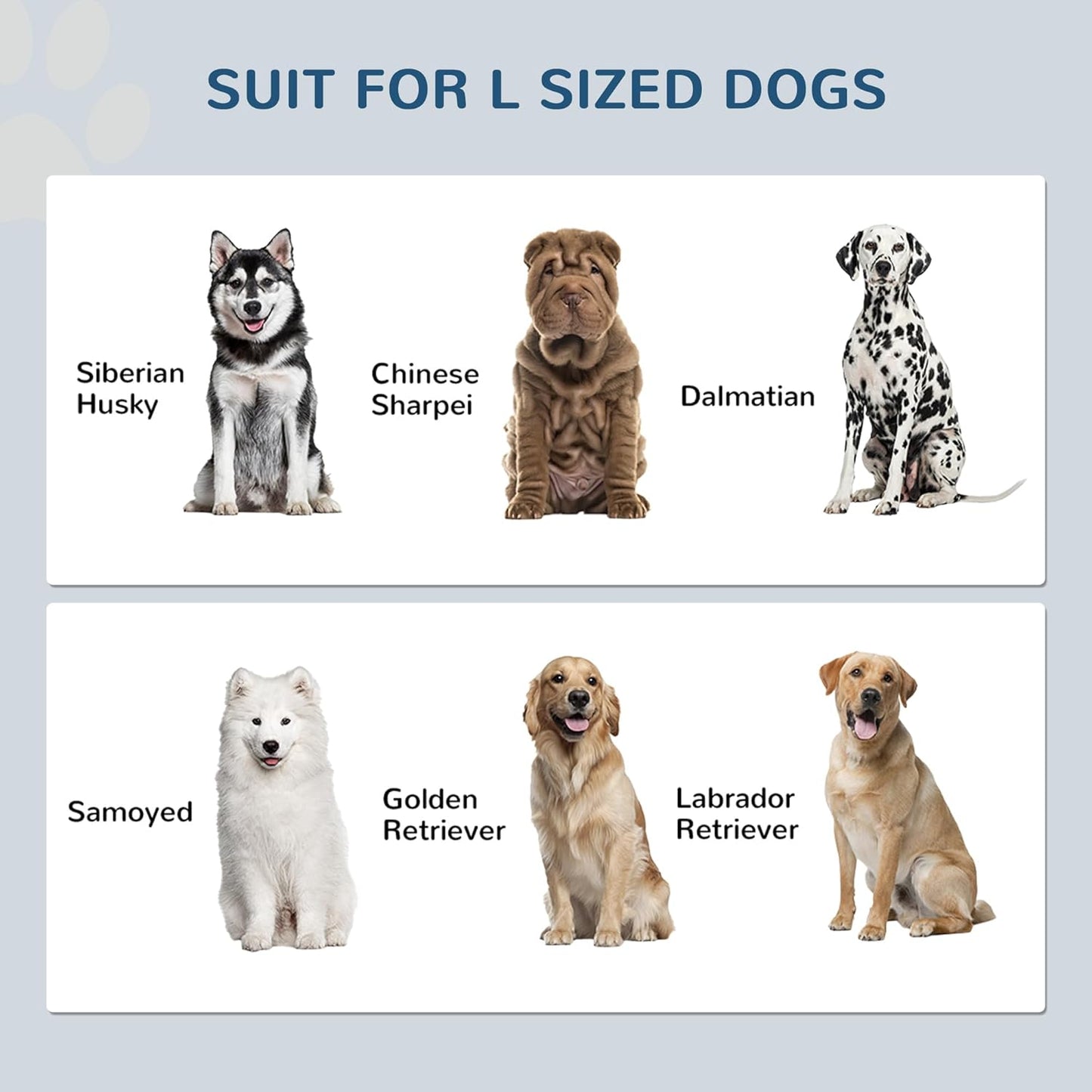 PawHut Large Elevated Dog Bowls with Storage Cabinet - 37L Capacity, Raised Dog Bowl Stand Feeding Station, White