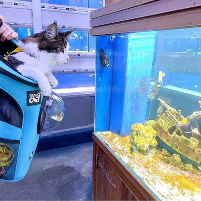 Fat Cat Backpack Carrier - Airline Approved Cat Carrier with Space Capsule Bubble for for Small Cats, Kitten - Premium Aqua Cat Carrier Backpack for Outdoor, Travel, Hiking, Pet Supplies