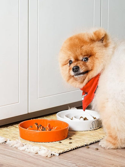 LE TAUCI Ceramic Slow Feeder Dog Bowls Small Breed, 0.6 Cups Dog Food Dish for Fast Eaters, Puzzle Bowl for Small Dogs and Cats,Sun Orange
